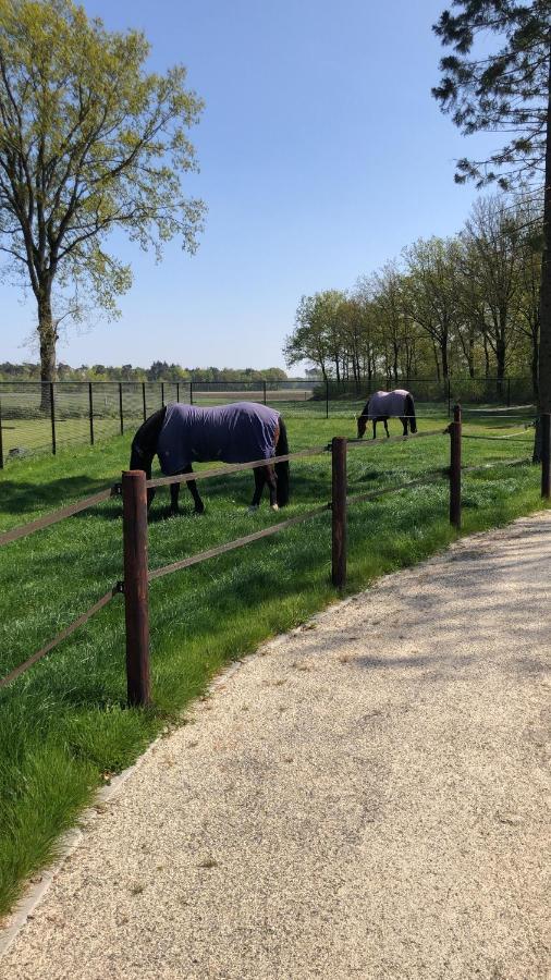 RiethovenHorse And Hound住宿加早餐旅馆 外观 照片